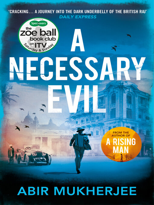 Cover image for A Necessary Evil